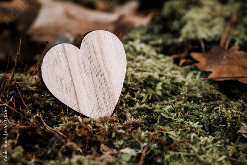 small wooden valentines heart on moss
