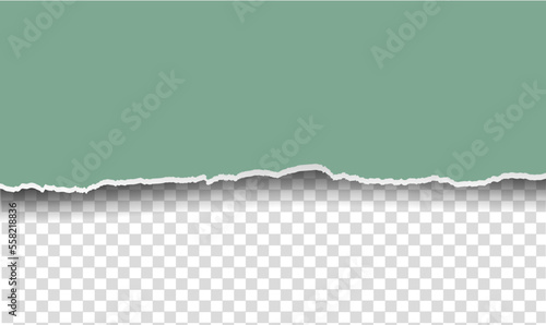 Realistic Green Pastel Ripped Paper With Transparent background