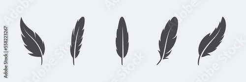 Vector Fluffy Feather Silhouette Icon Set Isolated. Design Template of Flamingo, Angel, Bird Feathers. Lightness, Freedom Concept
