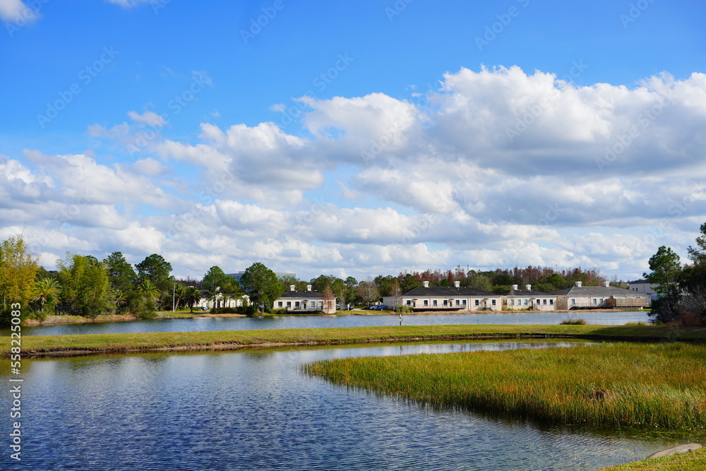 The winter landscape of Tampa Palms area in Florida The winter landscape of Tampa Palms area in Florida