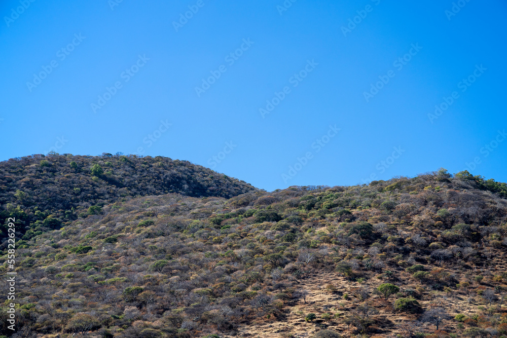 landscape with blue sky