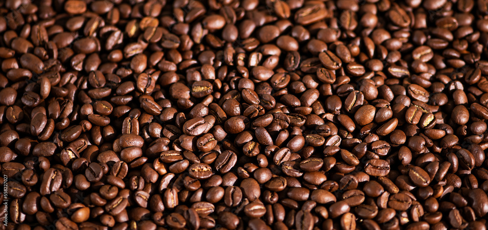 Abstract background from coffee beans Abstract background from coffee beans