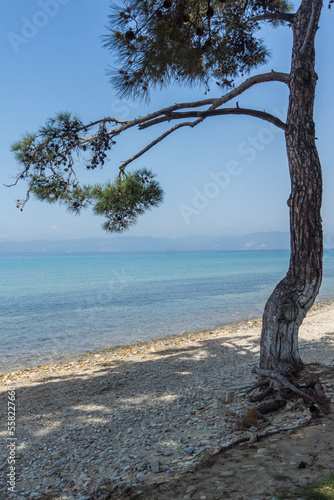 Landscape of coastline of Thassos island  Greece
