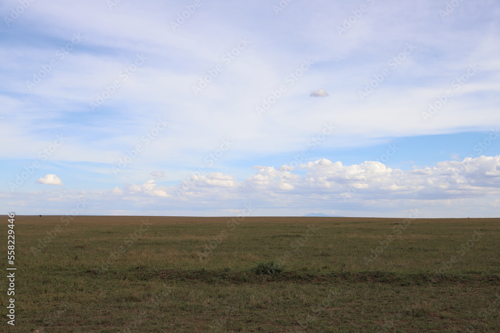 タンザニアのセレンゲティ国立公園でみえる地平線