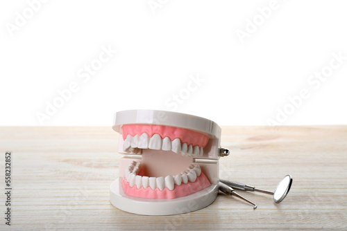 Jaw model with dentist's to...