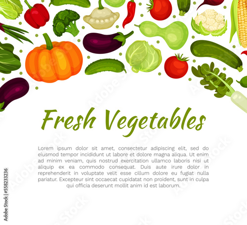 Fototapeta Naklejka Na Ścianę i Meble -  Fresh vegetables banner template with space for text. Farm organic vegetables, fresh healthy food card, poster cartoon vector