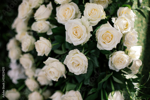Small bouquets of white roses © Arowstone