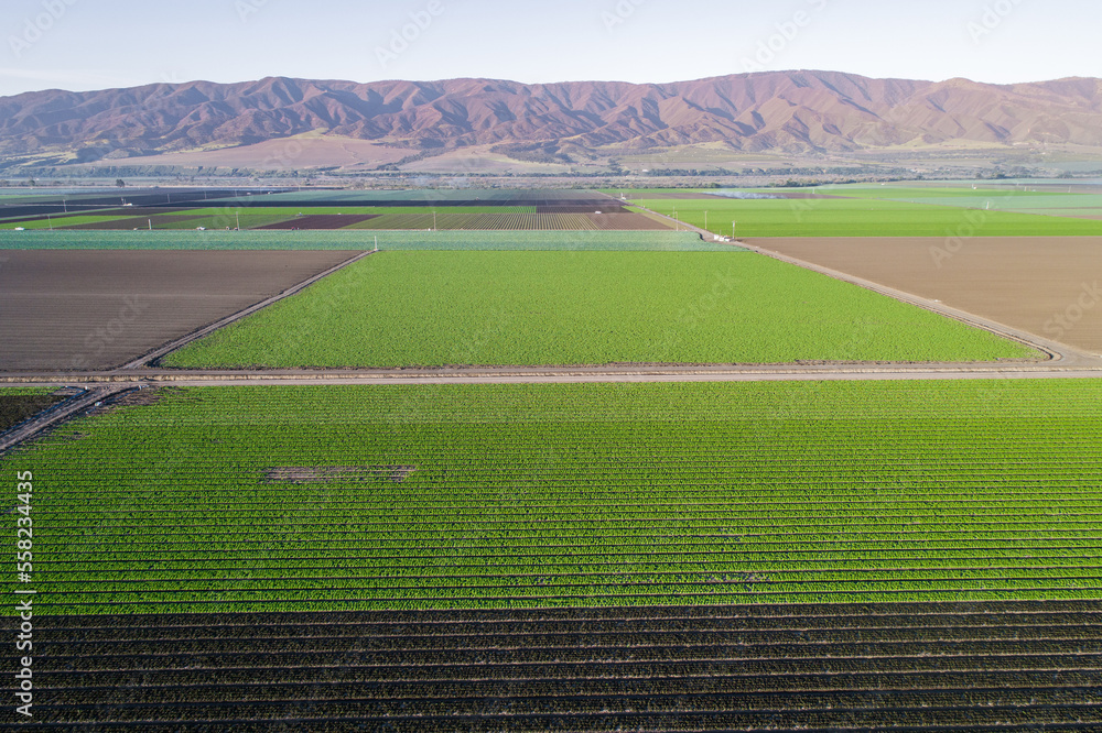 Aerial view of agricultural fields in California, United States. Salinas valley. USA