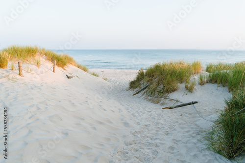 Fototapeta Naklejka Na Ścianę i Meble -  Wejście na plaże, Może Bałtyckie, Słowiński Park Narodowy, Rowy, Polska