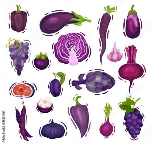 Set of purple vegetables and fruits set. Cauliflower, grape, eggplant, beetroot, plum cartoon vector