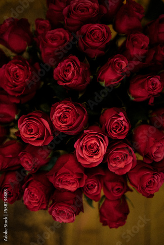Dark red roses in a macro shot with an emphasis on the petals