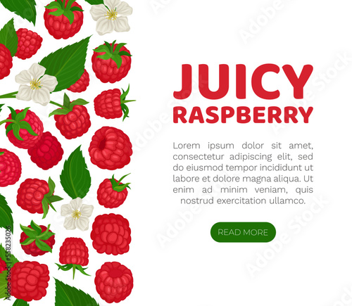 Juicy raspberry landing page. Fresh organic ripe berries, healthy natural organic web banner template with space for text cartoon vector