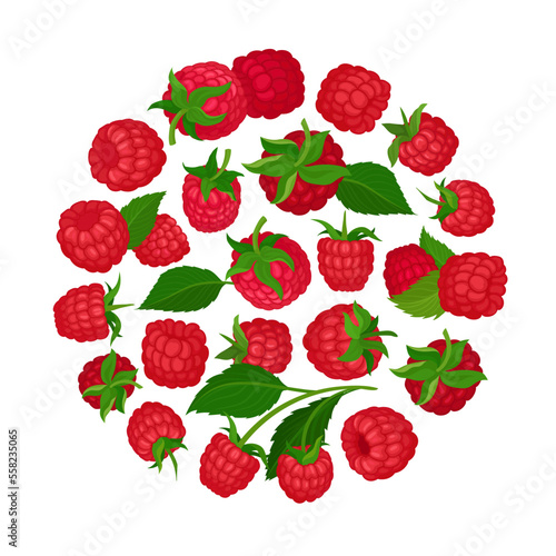 Juicy raspberry in round shape. Fresh organic ripe berries, healthy natural vegetarian product banner, poster, card design template cartoon