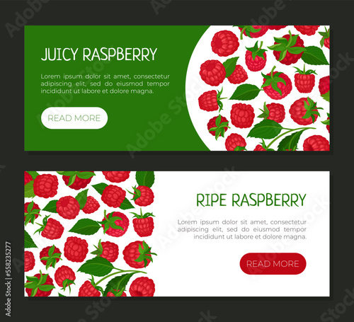 Ripe juicy raspberry landing page templates set. Fresh organic ripe berries, healthy natural vegetarian food horizontal web banners cartoon