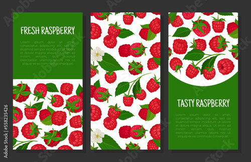 Fresh tasty raspberry banner templates set. Fresh organic berries, healthy product card, poster cartoon vector