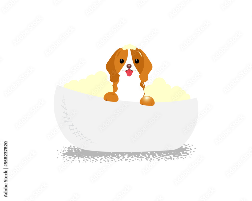 Beautiful portrait of dog in bath on white background for grooming salon design. domestic dog, puppy, doggy, pet. vector background. . Vector illustration Beautiful portrait of dog in bath on white background for grooming salon design. domestic dog, puppy, doggy, pet. vector background. . Vector illustration
