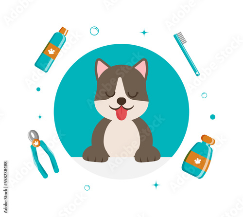 Banner group of cute dog tools and supplies in flat vector style. pet care illustration for content, label, banner, graphic and greeting card. Vector illustration