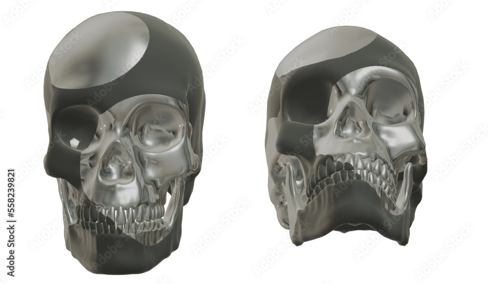 Fototapeta premium skull, human