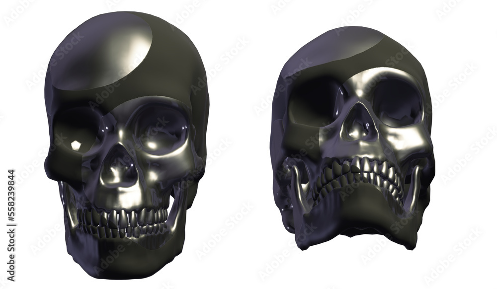 skull, human skull, human