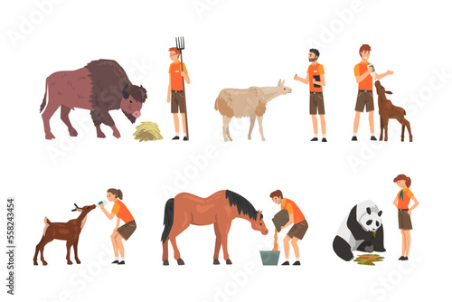 Professional zoo workers caring of animals in zoo set. Veterinarian in feeding and curing buffalo, alpaca, panda, horse cartoon vector illustratio