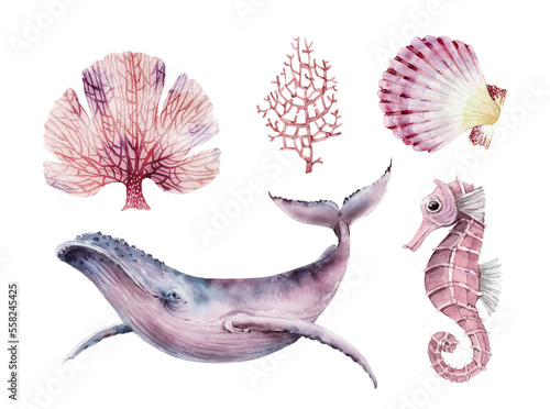 Photography Set of corals and marine life fish, watercolor illustrations.