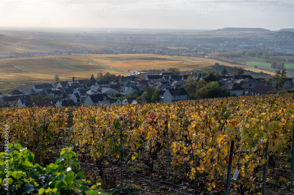 Panoramic autuimn view on champagne vineyards and village Hautvillers near Epernay, Champange, France