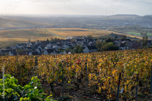 Panoramic autuimn view on champagne vineyards and village Hautvillers near Epernay  Champange  France