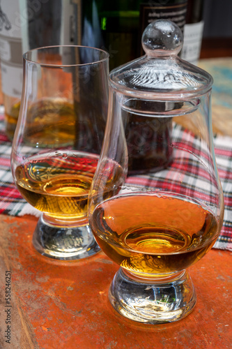 Tulip-shaped tasting glass with dram of Scotch single malt or blended whisky on wooden table with tartan