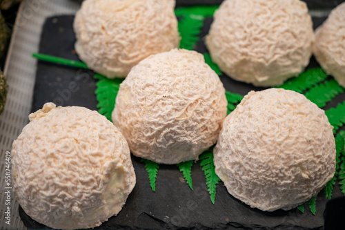 Cheese collection, french goat cheese from Vezelay, Burgundy region, France