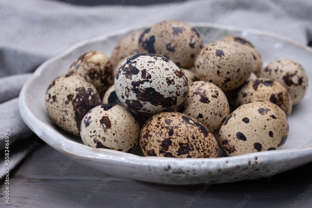 Fresh small spotted partridge or quail bird eggs Fresh small spotted partridge or quail bird eggs