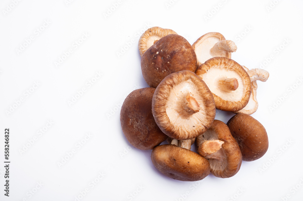Fresh brown Lentinula edodes or shiitake edible mushrooms isolated on white background Fresh brown Lentinula edodes or shiitake edible mushrooms isolated on white background