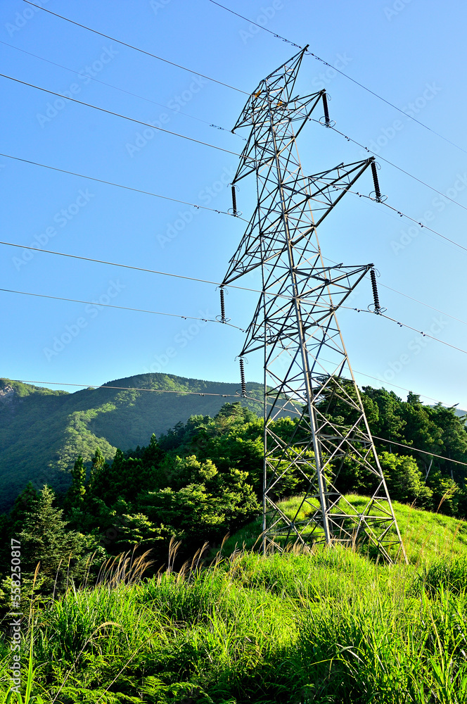 Obraz premium 道志山塊の赤鞍ヶ岳 赤鞍ヶ岳・大栗コースに建つ鉄塔 道志山塊 赤鞍ヶ岳 赤鞍ヶ岳・大栗コース 送電線「佐久間東幹線」No.339より赤鞍ヶ岳 
