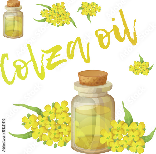 Colza oil in a glass bottle vector icon isolated on white background. Vegetable yellow oil in a small bottle with a cork illustration. Rapeseed flowers and leafs around the oil extract