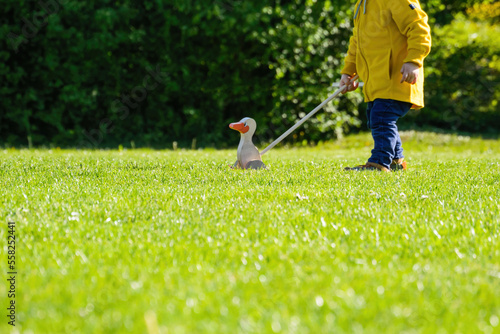 Young toddler in a yellow vest and blue pants with push-along duck toy on green lawn - defocused background