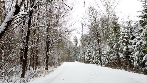 Wallpaper Mural Fast POV magical winter driving in a snowy forest. View through a car's windshield Torontodigital.ca