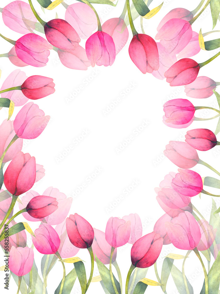 Watercolor illustration with Magenta tulips. Separated elements, frames, wreath and borders. Watercolor spring floral ornament.