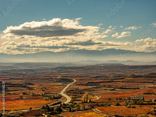 Los viñedos de la Rioja Alavesa en otoño, País Vasco