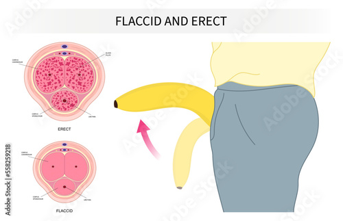 mental depression disorder Erectile dysfunction disease and hormones of the Peyronie's erect traumatic cardiovascular level drug neurogenic