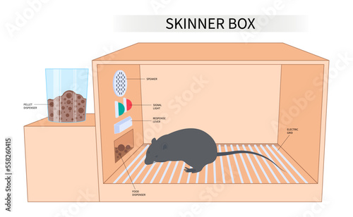 Skinner box manipulate for animal behaviour educational law of effect experimental scientist
