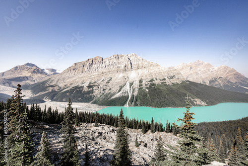 Peyto Lake banff national park