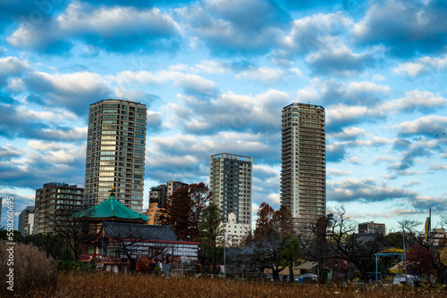 朝の雲