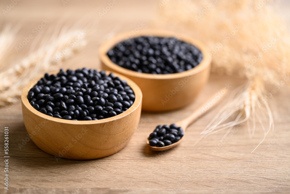 Black soybean seeds in bowl with spoon, food ingredients high protein good for vegetarian and vegan Black soybean seeds in bowl with spoon, food ingredients high protein good for vegetarian and vegan