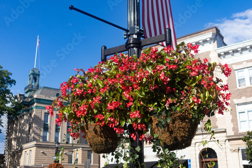 Hanging Flower Baskets filled with Beautiful Flowers along Greenwich Avenue in Downtown Greenwich Connecticut