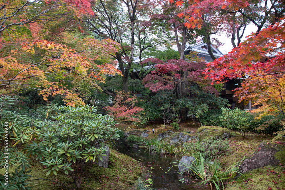 Autumn leaves at Hogonin temple, Kyoto, Japan Autumn leaves at Hogonin temple, Kyoto, Japan