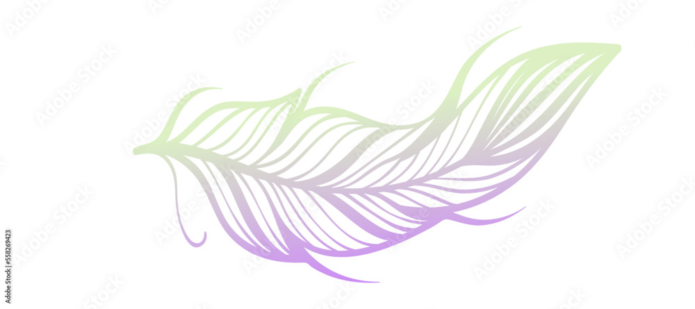gradient feathers outline white background Design Wallpaper Vector