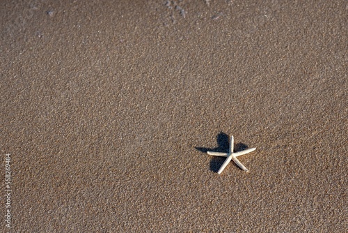 star on sand