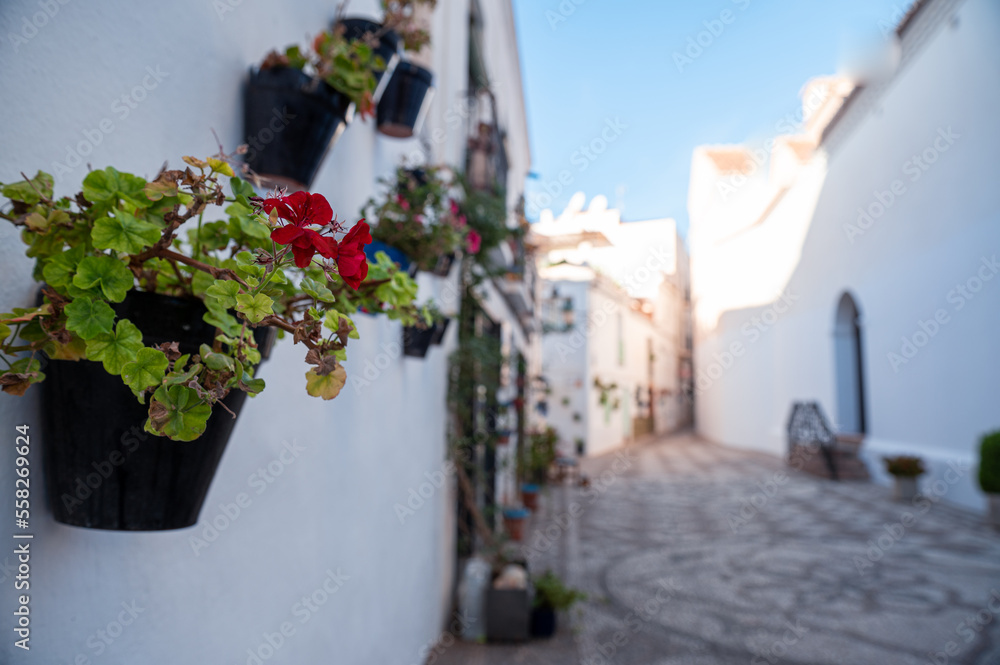 Flowers in the touristic city of Nerja in Malaga, Spain in 2022