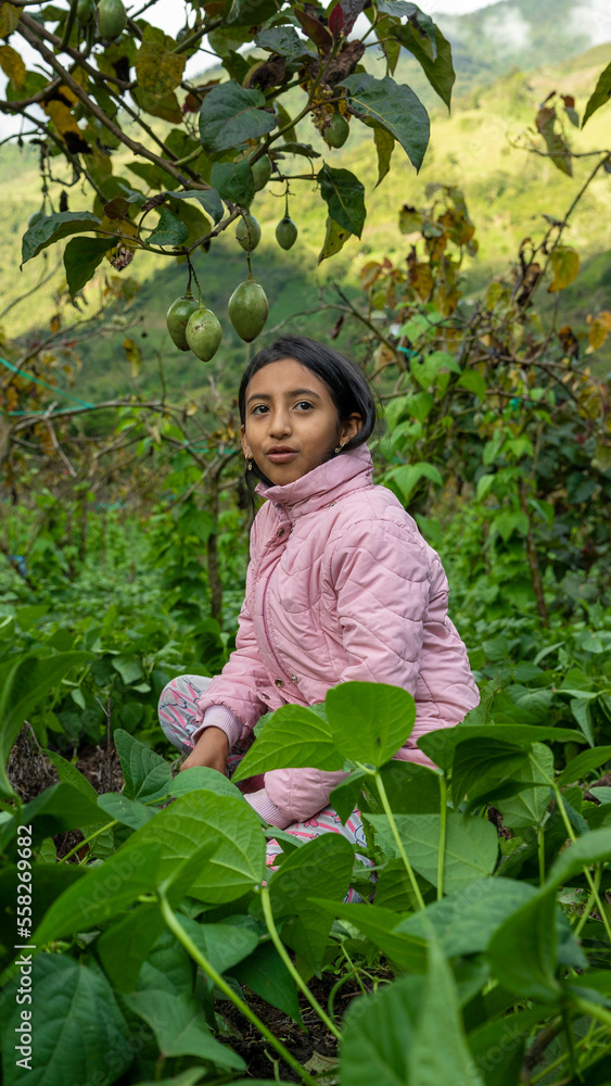 young ecuadorian mixed race girl mestiza in the countryside of the ecuadorian andes young ecuadorian mixed race girl mestiza in the countryside of the ecuadorian andes