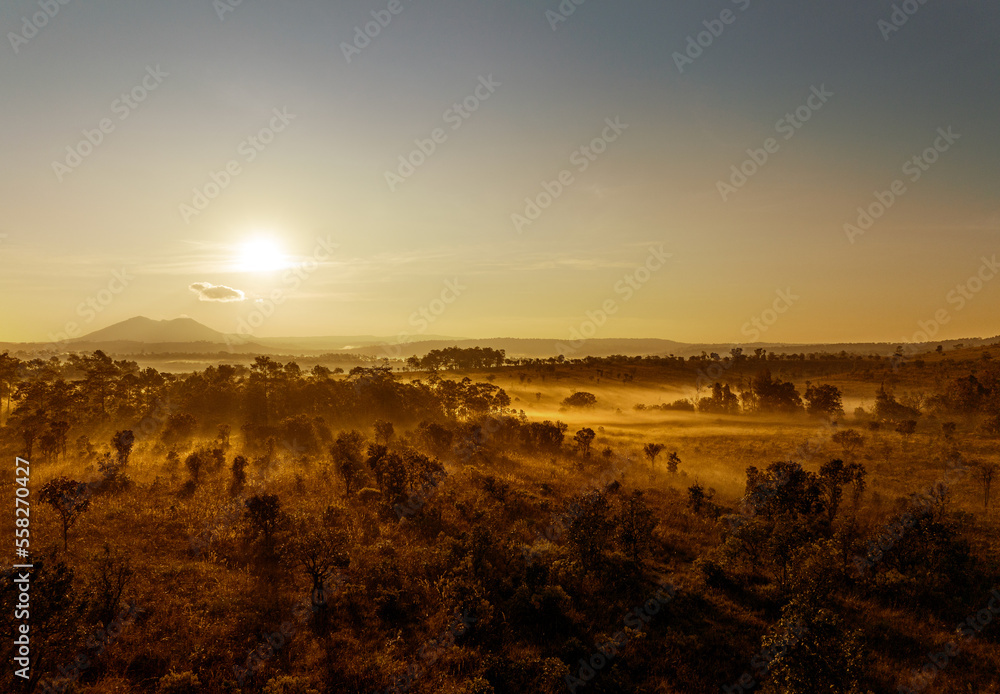 Beautiful and fertile forest landscape, winter During a foggy sunrise morning in Thung Salaeng Luang National Park, Thailand. Travel concept. Beautiful and fertile forest landscape, winter During a foggy sunrise morning in Thung Salaeng Luang National Park, Thailand. Travel concept.