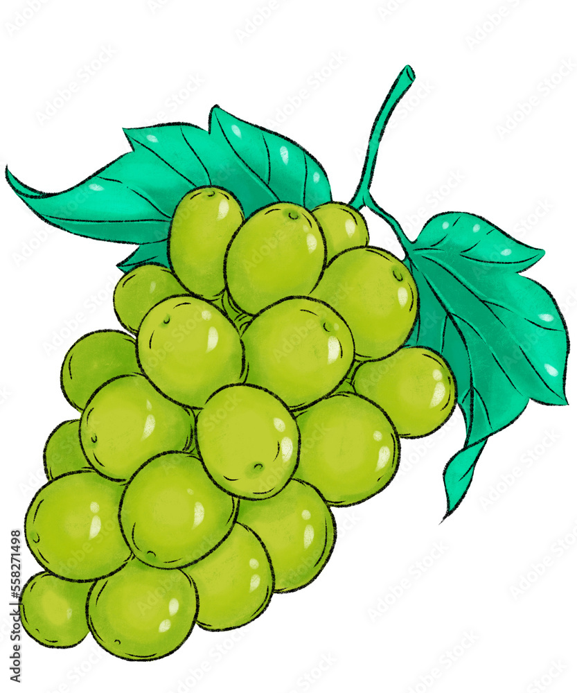 How to Draw Grapes Step by Step - EasyLineDrawing